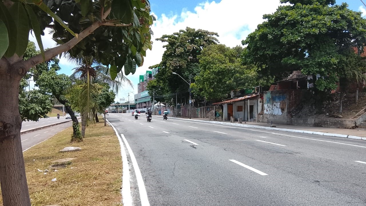 pista e canteiro central da avenida leste oeste